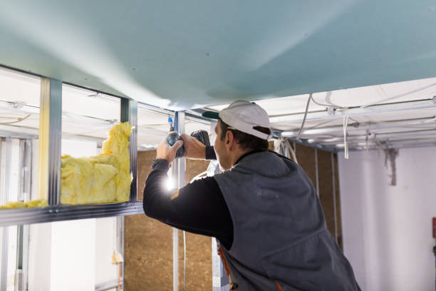Insulation Replacement Services in Huntington Woods, MI