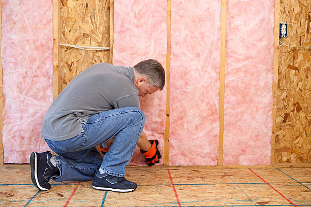 Best Attic Insulation Installation  in Huntington Woods, MI