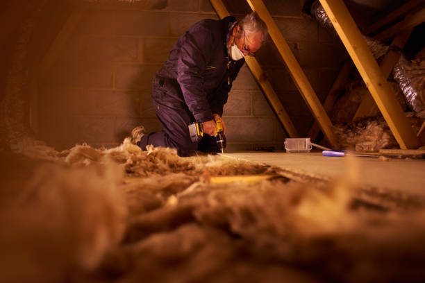 Best Blown-in Insulation  in Huntington Woods, MI