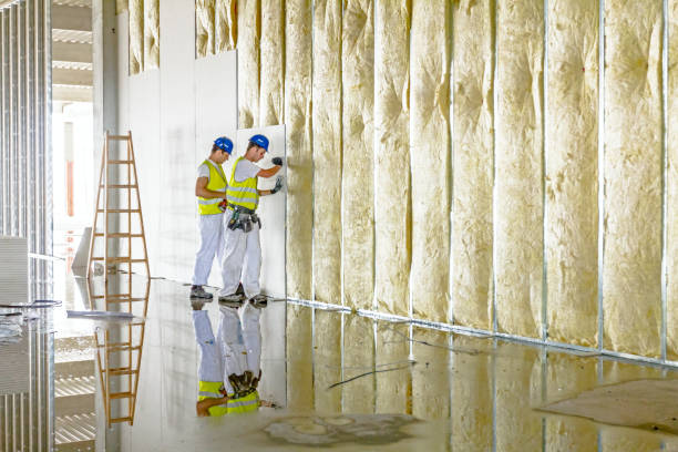 Best Insulation Contractor Near Me  in Huntington Woods, MI
